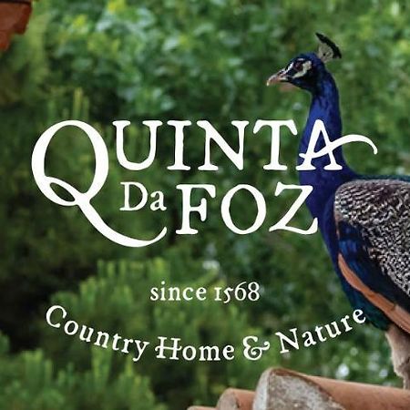 Quinta Da Foz Villa Foz do Arelho Kültér fotó