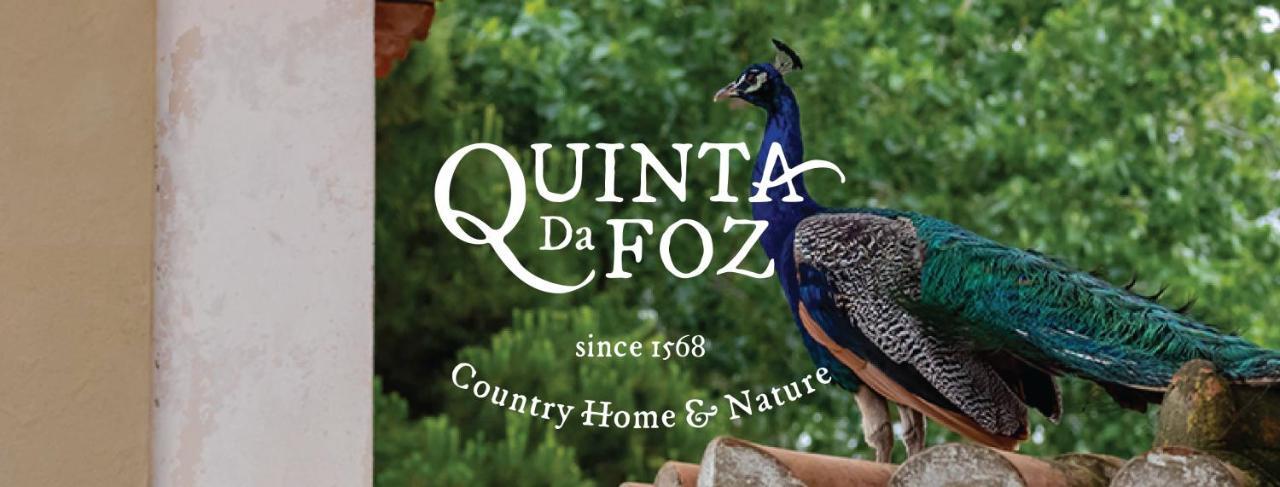Quinta Da Foz Villa Foz do Arelho Kültér fotó