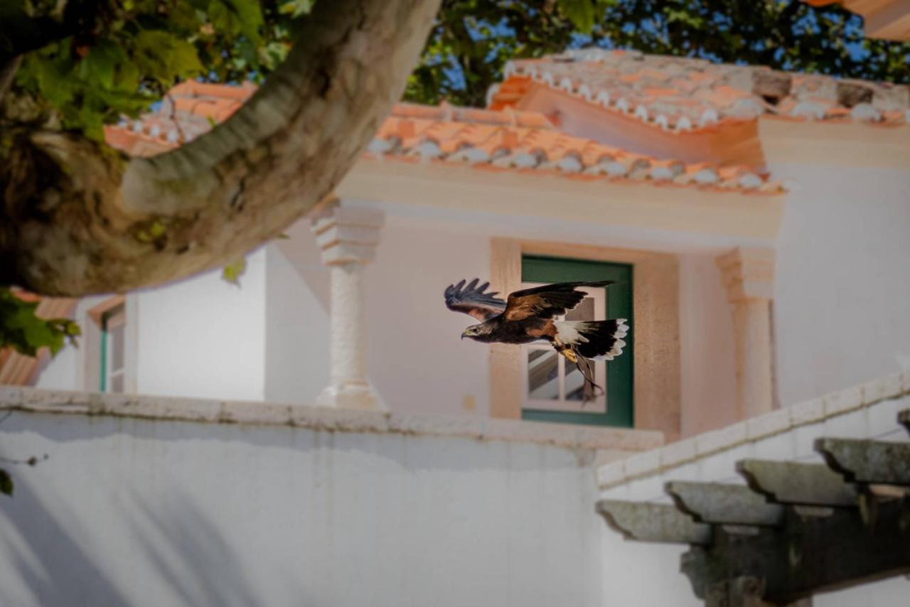 Quinta Da Foz Villa Foz do Arelho Kültér fotó